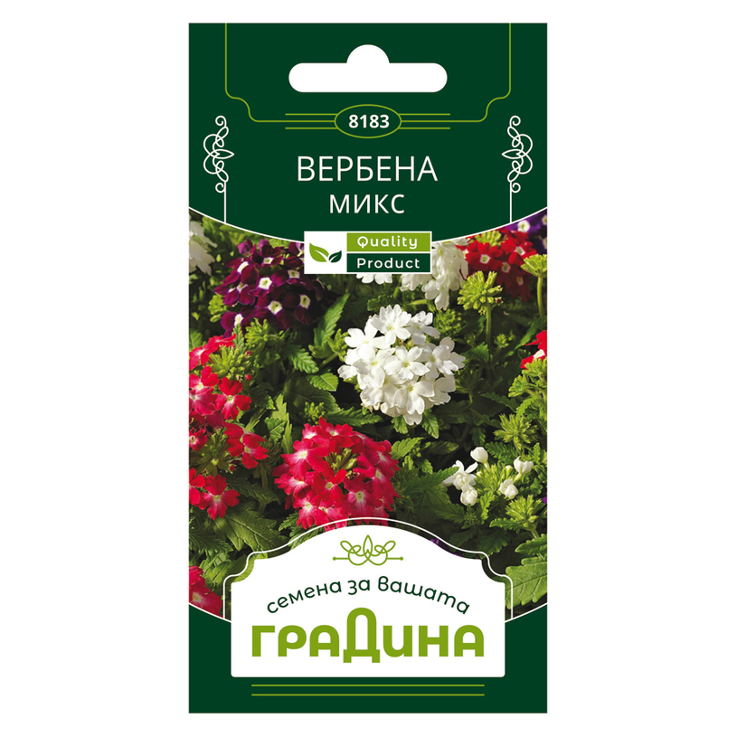 ВЕРБЕНА МИКС СЕМЕНА ЗА ЦВЕТЯ ГРАДИНА ВЕРБЕНА МИКС СЕМЕНА ЗА ЦВЕТЯ ГРАДИНА