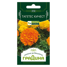СЕМЕНА ТАГЕТЕС КИЧЕСТ ЕКСТРА ГРАДИНА СЕМЕНА ТАГЕТЕС КИЧЕСТ ЕКСТРА ГРАДИНА