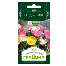 КАЛДЪРЪМЧЕ ПРОСТОЦВ. СЕМЕНА ЗА ЦВЕТЯ ГР. КАЛДЪРЪМЧЕ ПРОСТОЦВ. СЕМЕНА ЗА ЦВЕТЯ ГР.