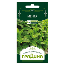 МЕНТА СЕМЕНА ЗА ПОДПРАВКИ ГРАДИНА МЕНТА СЕМЕНА ЗА ПОДПРАВКИ ГРАДИНА
