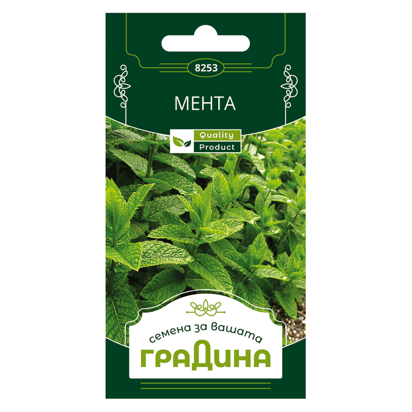 МЕНТА СЕМЕНА ЗА ПОДПРАВКИ ГРАДИНА МЕНТА СЕМЕНА ЗА ПОДПРАВКИ ГРАДИНА