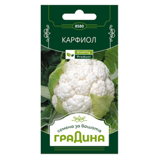 КАРФИОЛ СЕМЕНА ЗА ЗЕЛЕНЧУЦИ ГРАДИНА КАРФИОЛ СЕМЕНА ЗА ЗЕЛЕНЧУЦИ ГРАДИНА