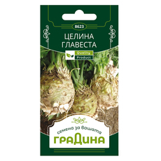 ЦЕЛИНА ГЛАВЕСТА СЕМЕНА ЗА ЗЕЛЕНЧ. ГРАДИН ЦЕЛИНА ГЛАВЕСТА СЕМЕНА ЗА ЗЕЛЕНЧ. ГРАДИН