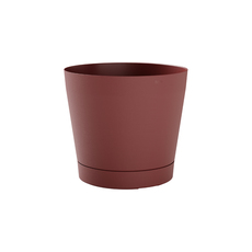 САКСИЯ ORIONE 24 BLUSH САКСИЯ ORIONE 24 BLUSH
