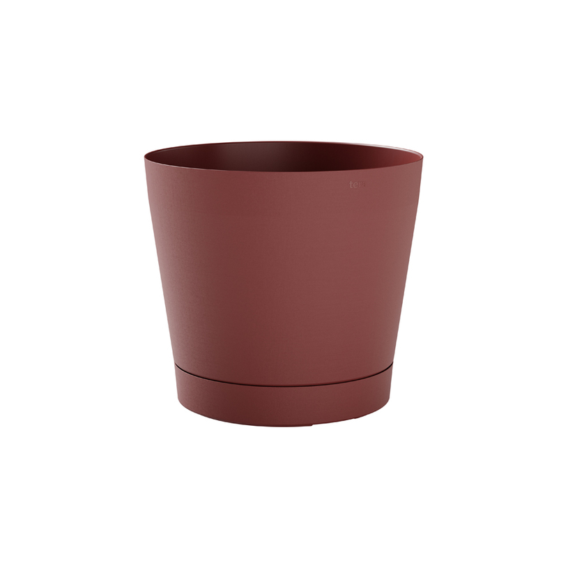 САКСИЯ ORIONE 24 BLUSH САКСИЯ ORIONE 24 BLUSH