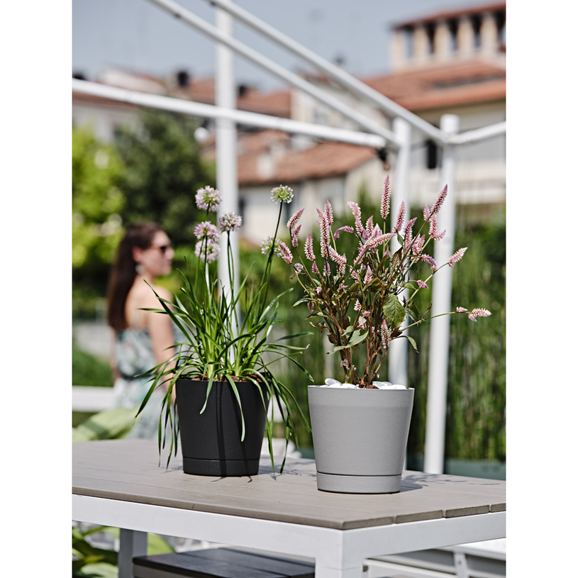 САКСИЯ ORIONE 24 FOG GREY САКСИЯ ORIONE 24 FOG GREY