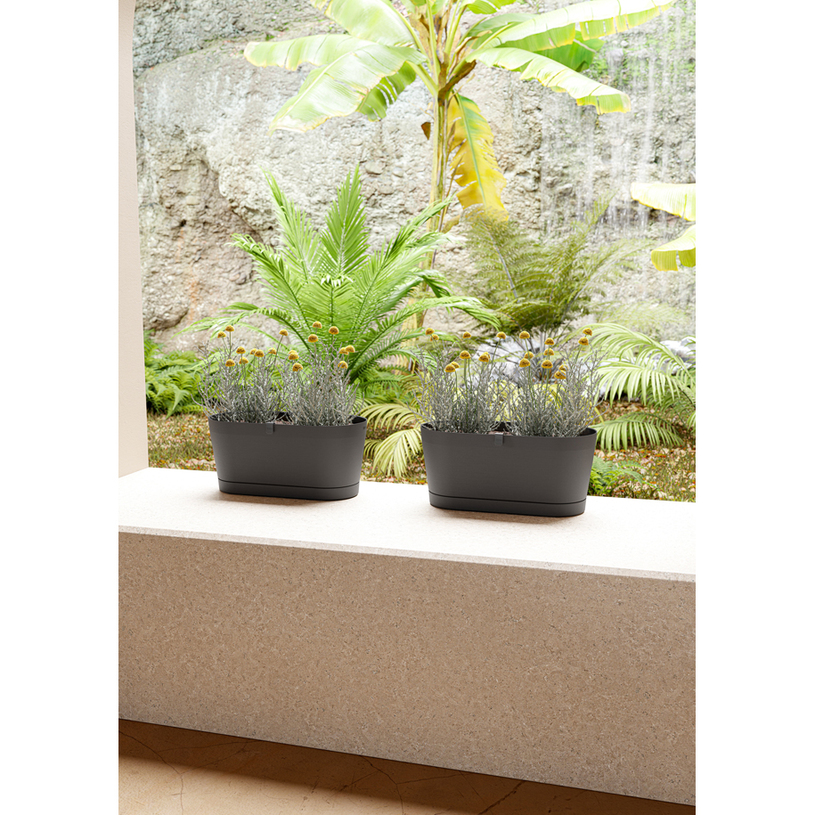 САНДЪЧЕ VEGA 40 ASH САНДЪЧЕ VEGA 40 ASH