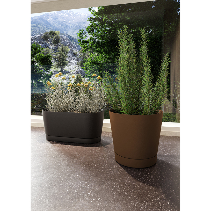 САНДЪЧЕ VEGA 40 OVERSEA САНДЪЧЕ VEGA 40 OVERSEA