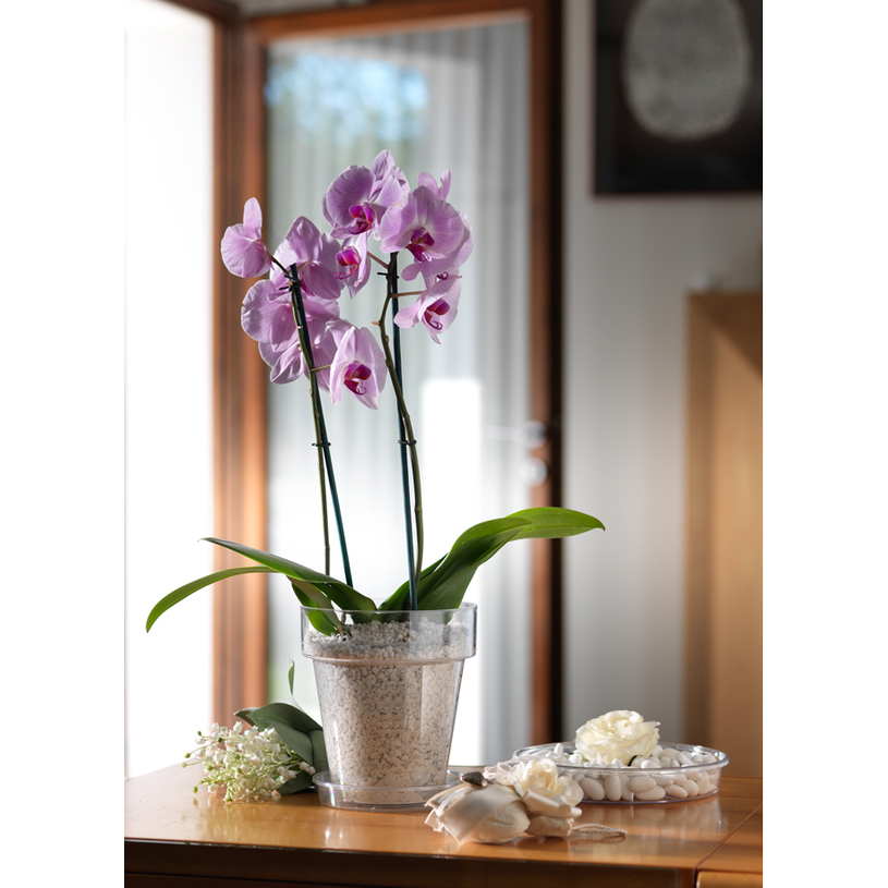 КАШПА PORTO 20 TRANSPARENT КАШПА PORTO 20 TRANSPARENT