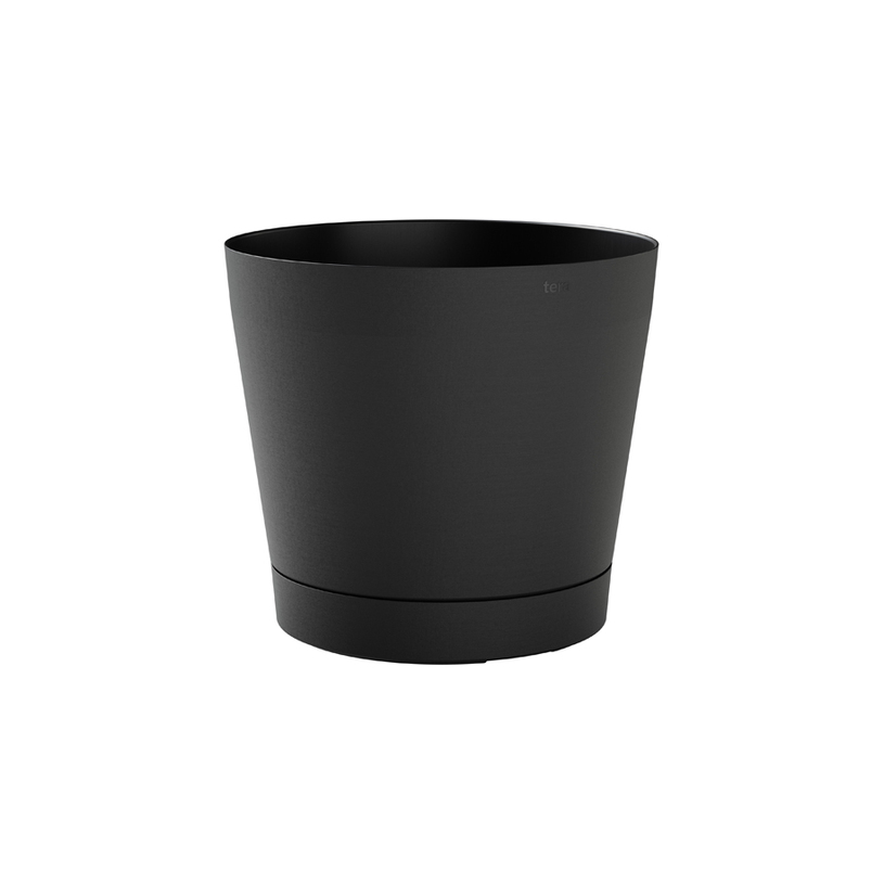 САКСИЯ ORIONE 24 ASH САКСИЯ ORIONE 24 ASH