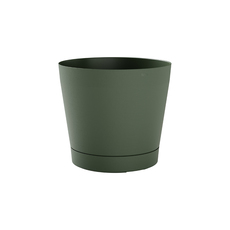 САКСИЯ ORIONE 24 FOREST САКСИЯ ORIONE 24 FOREST