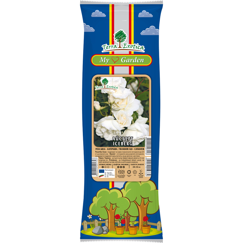 СОРТОВЕ РОЗИ В ПАКЕТ КАТЕРЛИВИ СОРТОВЕ РОЗИ В ПАКЕТ КАТЕРЛИВИ