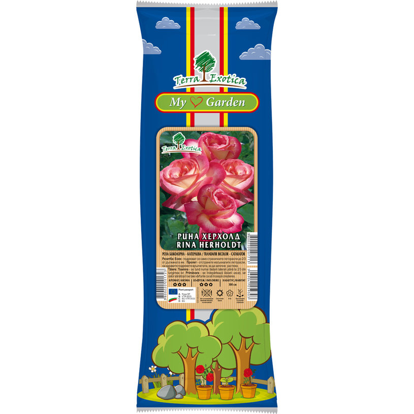 СОРТОВЕ РОЗИ В ПАКЕТ КАТЕРЛИВИ СОРТОВЕ РОЗИ В ПАКЕТ КАТЕРЛИВИ