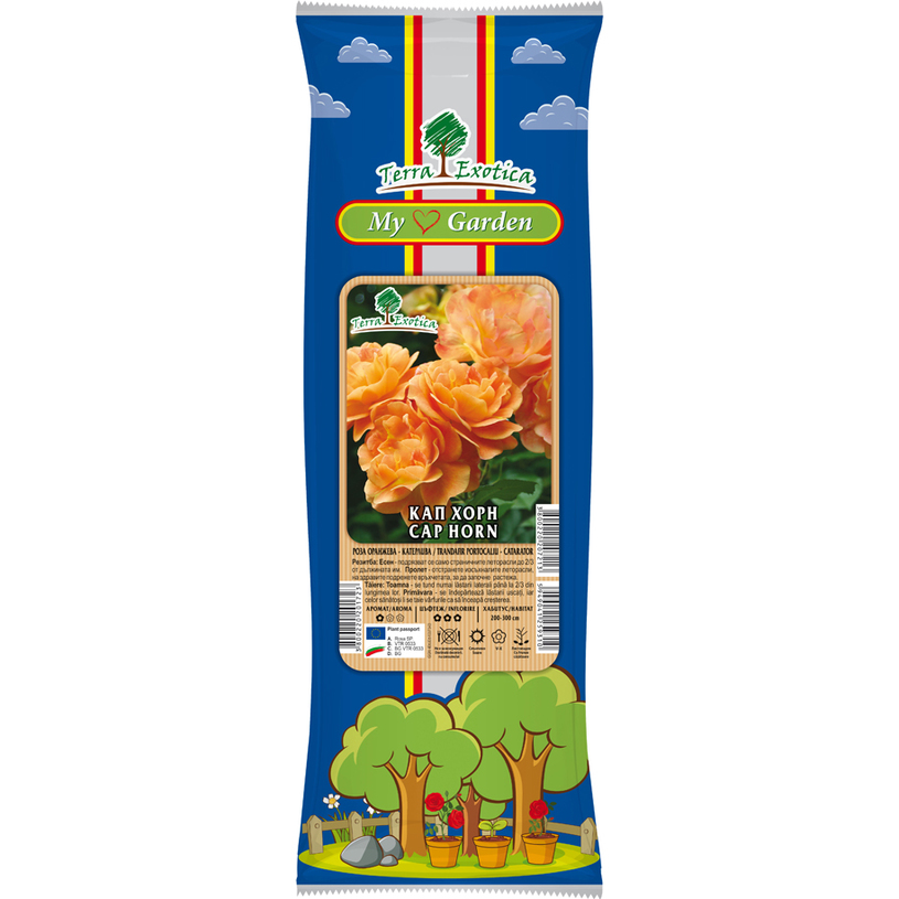 СОРТОВЕ РОЗИ В ПАКЕТ КАТЕРЛИВИ СОРТОВЕ РОЗИ В ПАКЕТ КАТЕРЛИВИ