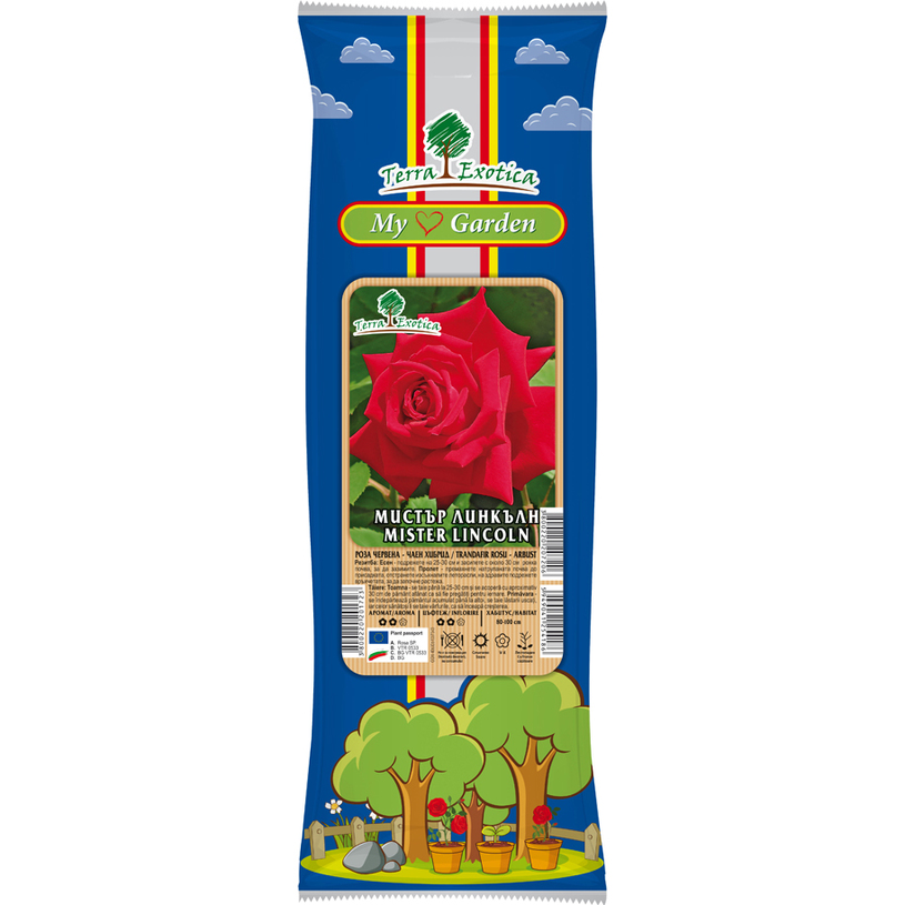 СОРТОВЕ РОЗИ В ПАКЕТ ЧАЕН ХИБРИД СОРТОВЕ РОЗИ В ПАКЕТ ЧАЕН ХИБРИД