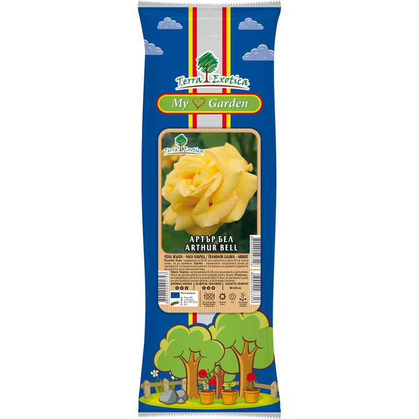 СОРТОВЕ РОЗИ В ПАКЕТ ЧАЕН ХИБРИД СОРТОВЕ РОЗИ В ПАКЕТ ЧАЕН ХИБРИД