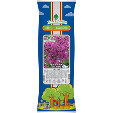 КОРЕН ЛЮЛЯК 1БР. В ПАКЕТ КОРЕН ЛЮЛЯК 1БР. В ПАКЕТ