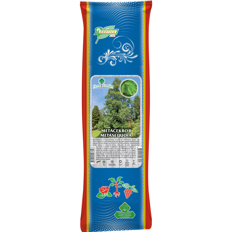 КОРЕН МЕТАСЕКВОЯ 1БР. В ПАКЕТ КОРЕН МЕТАСЕКВОЯ 1БР. В ПАКЕТ