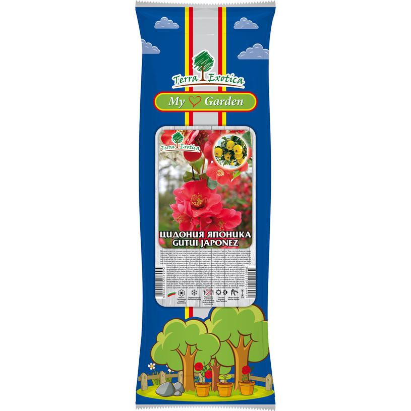 КОРЕН ЦИДОНИЯ ЯПОНИКА 1БР. В ПАКЕТ КОРЕН ЦИДОНИЯ ЯПОНИКА 1БР. В ПАКЕТ