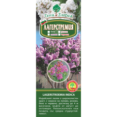 &КОРЕН ЛАГЕРСТРОЕМИЯ ИНДИКА 1БР В КУТИЯ &КОРЕН ЛАГЕРСТРОЕМИЯ ИНДИКА 1БР В КУТИЯ