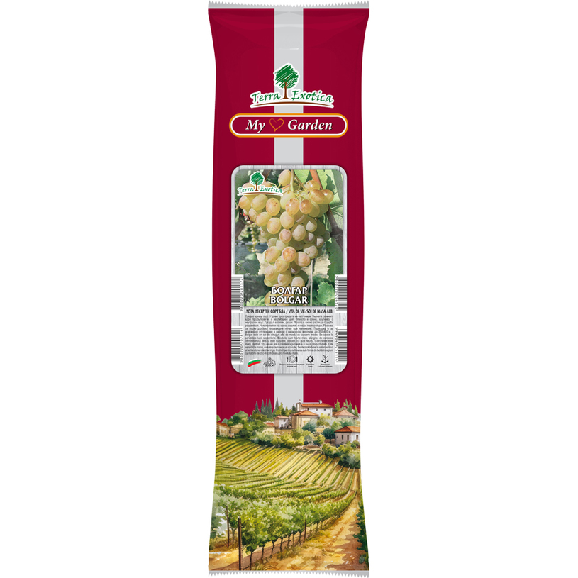 ЛОЗИ РАЗЛИЧНИ ВИДОВЕ В ПАКЕТ ЛОЗИ РАЗЛИЧНИ ВИДОВЕ В ПАКЕТ