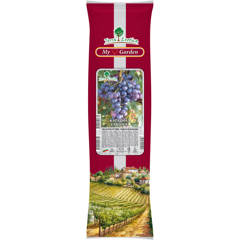 ЛОЗИ РАЗЛИЧНИ ВИДОВЕ В ПАКЕТ ЛОЗИ РАЗЛИЧНИ ВИДОВЕ В ПАКЕТ