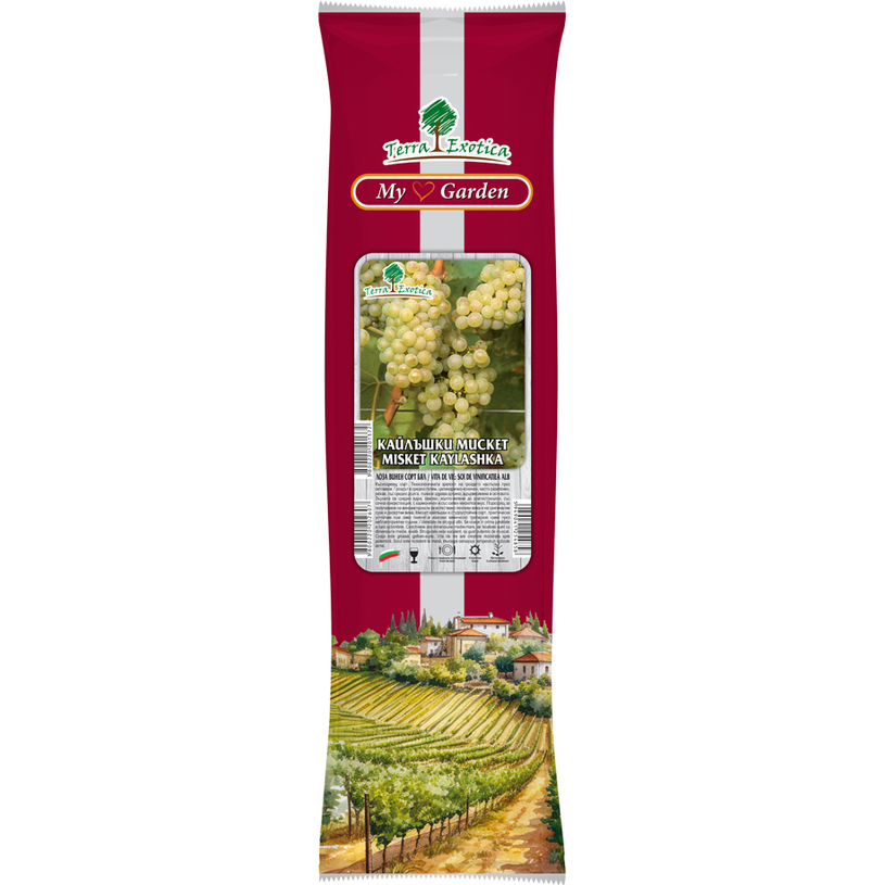 ЛОЗИ РАЗЛИЧНИ ВИДОВЕ В ПАКЕТ ЛОЗИ РАЗЛИЧНИ ВИДОВЕ В ПАКЕТ