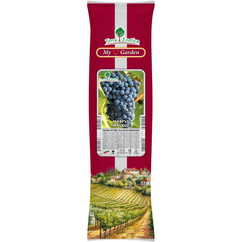 ЛОЗИ РАЗЛИЧНИ ВИДОВЕ В ПАКЕТ ЛОЗИ РАЗЛИЧНИ ВИДОВЕ В ПАКЕТ