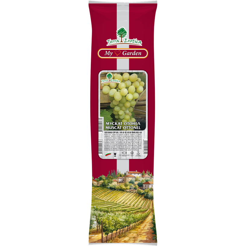 ЛОЗИ РАЗЛИЧНИ ВИДОВЕ В ПАКЕТ ЛОЗИ РАЗЛИЧНИ ВИДОВЕ В ПАКЕТ