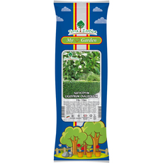 КОРЕН ЛИГУСТРУМ EKZOTIKA КОРЕН ЛИГУСТРУМ EKZOTIKA