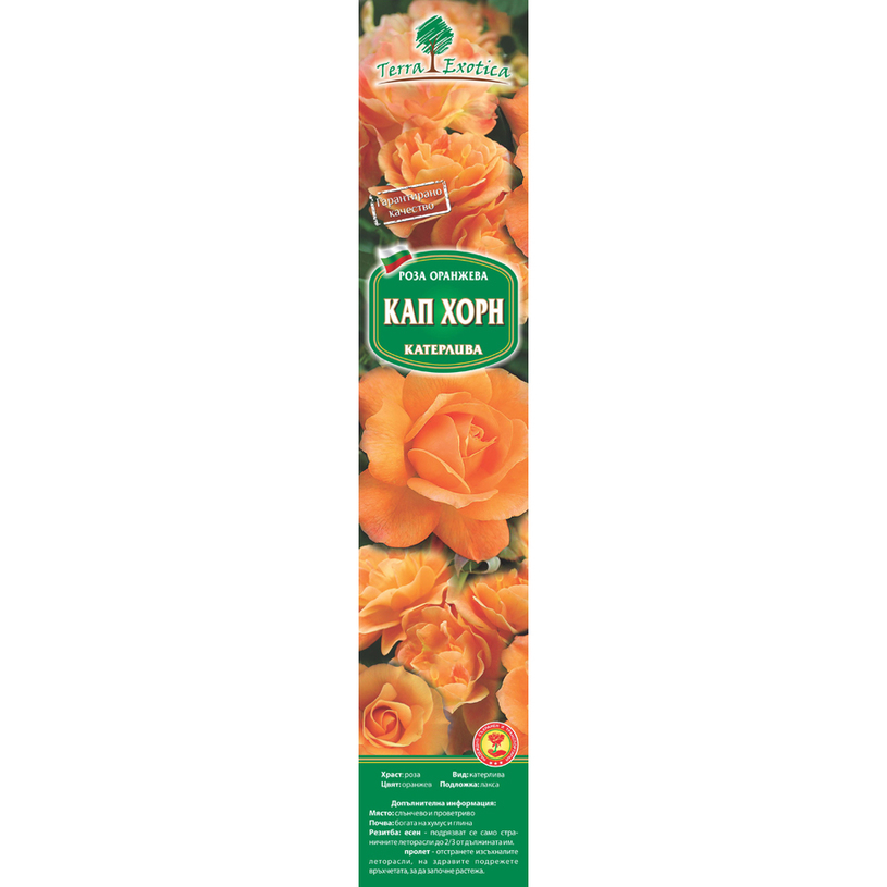 "&РОЗИ В КУТИЯ; РАЗЛИЧНИ ВИДОВЕ" "&РОЗИ В КУТИЯ; РАЗЛИЧНИ ВИДОВЕ"
