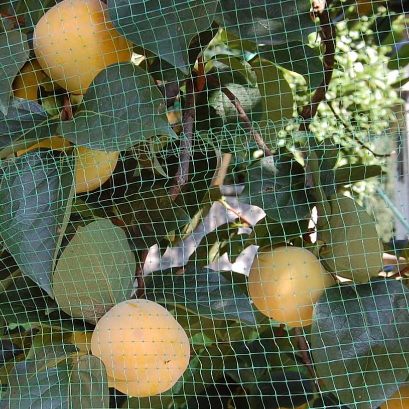 ПРЕДПАЗНА МРЕЖА ORTOFLEX OТВОР:12Х10M ПРЕДПАЗНА МРЕЖА ORTOFLEX OТВОР:12Х10M