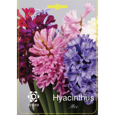 BULBS HYACINTH MIX IVESTO BULBS HYACINTH MIX IVESTO