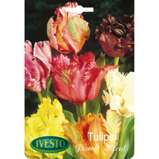 BULBS TULIP PARROT MIXED IVESTO BULBS TULIP PARROT MIXED IVESTO