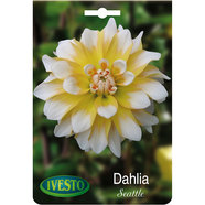 ЛУКОВИЦИ ДАЛИЯ SEATTLE IVESTO ЛУКОВИЦИ ДАЛИЯ SEATTLE IVESTO