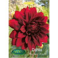 ЛУКОВИЦИ ДАЛИЯ DECORATIVE ARABIAN NIGHT IVESTO ЛУКОВИЦИ ДАЛИЯ DECORATIVE ARABIAN NIGHT IVESTO