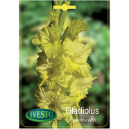ЛУКОВИЦИ ГЛАДИОЛА LIMONCELLO IVESTO ЛУКОВИЦИ ГЛАДИОЛА LIMONCELLO IVESTO
