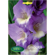 ЛУКОВИЦИ ГЛАДИОЛА MEDITERRANEE IVESTO ЛУКОВИЦИ ГЛАДИОЛА MEDITERRANEE IVESTO