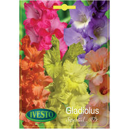ЛУКОВИЦИ ГЛАДИОЛА MIX 7011/7013/7077 IVESTO ЛУКОВИЦИ ГЛАДИОЛА MIX 7011/7013/7077 IVESTO