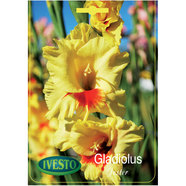 ЛУКОВИЦИ ГЛАДИОЛА JESTER IVESTO ЛУКОВИЦИ ГЛАДИОЛА JESTER IVESTO