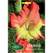 ЛУКОВИЦИ ГЛАДИОЛА MARGARETH ROSE IVESTO ЛУКОВИЦИ ГЛАДИОЛА MARGARETH ROSE IVESTO
