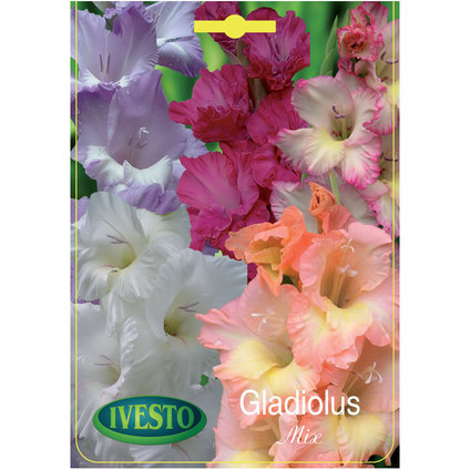 ЛУКОВИЦИ ГЛАДИОЛА MIX ЛУКОВИЦИ ГЛАДИОЛА MIX