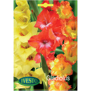 ЛУКОВИЦИ ГЛАДИОЛА MIX 7011/7069/7023 IVESTO ЛУКОВИЦИ ГЛАДИОЛА MIX 7011/7069/7023 IVESTO
