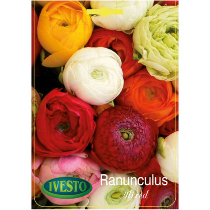 ЛУКОВИЦИ РАНУНКУЛУС MIX ЛУКОВИЦИ РАНУНКУЛУС MIX