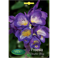 ЛУКОВИЦИ ФРЕЗИЯ DOUBLE FLOWERING BLUE IVESTO ЛУКОВИЦИ ФРЕЗИЯ DOUBLE FLOWERING BLUE IVESTO