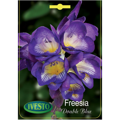 ЛУКОВИЦИ ФРЕЗИЯ ДВОЙНО ЦЪФТЯЩА BLUE ЛУКОВИЦИ ФРЕЗИЯ ДВОЙНО ЦЪФТЯЩА BLUE