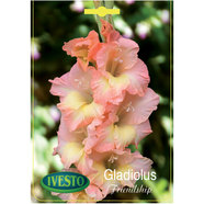 ЛУКОВИЦИ ГЛАДИОЛА FRIENDSHIP IVESTO ЛУКОВИЦИ ГЛАДИОЛА FRIENDSHIP IVESTO