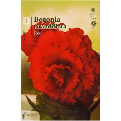 &ПРОЛЕТНИ ЛУКОВИЦИ &ПРОЛЕТНИ ЛУКОВИЦИ