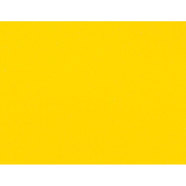 ФОЛИО ЕДНОЦВЕТНО 45СМ PATIFIX ЖЪЛТО ФОЛИО ЕДНОЦВЕТНО 45СМ PATIFIX ЖЪЛТО