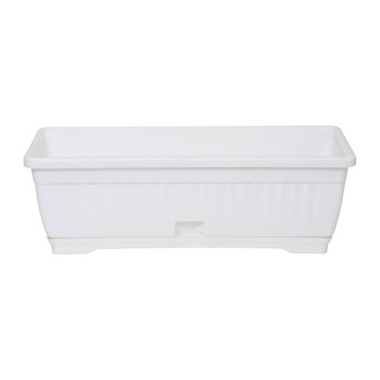 САНДЪЧЕ РЕБРА, 48 СМ, БЯЛО БЕЗ ПОДЛОЖКА САНДЪЧЕ РЕБРА, 48 СМ, БЯЛО БЕЗ ПОДЛОЖКА